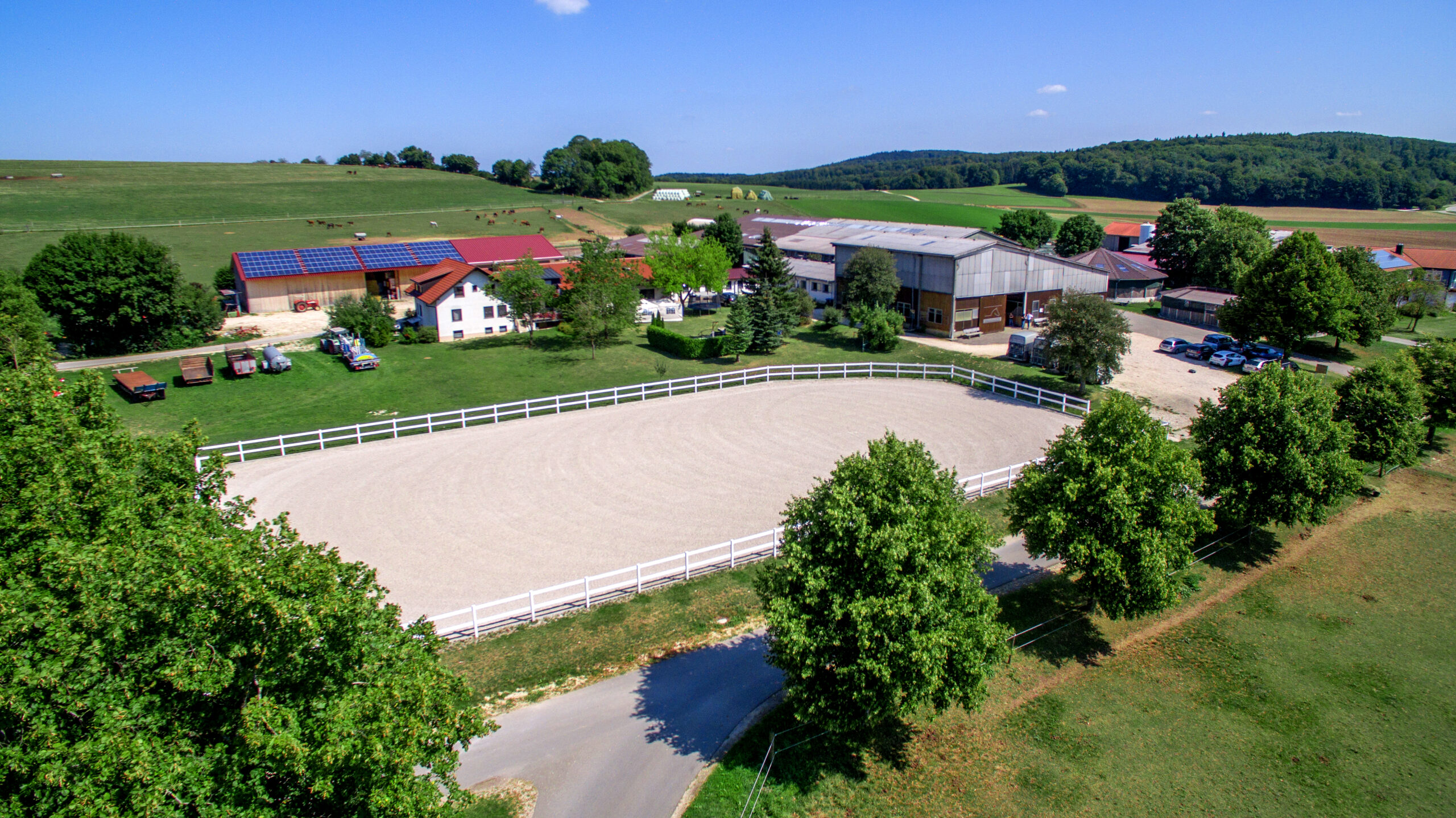 Ausbildungsstall Schepper – Professionelle Pferdehaltung, Zucht und Ausbildung auf der Schwäbischen Alb in Römerstein-Böhringen